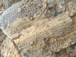 Soil-Bentonite Slurry Trench Cutoff Wall Image -- IMG_1309 by Jeffrey Evans