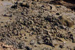 Soil-Bentonite Slurry Trench Cutoff Wall Image -- IMG_4729 by Corrie W. Macaulay